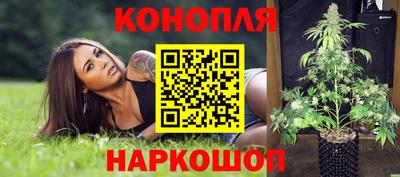 PSILOCYBIN Кулебаки